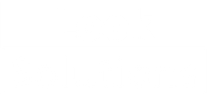 Look Solutions logo